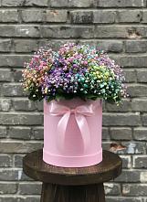 Цветочная композиция из Гипсофила и Розы в шляпной коробке в Волченки