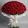 Букет 101 Красная роза Блэк Мэджик в Волченки