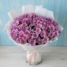 Букет цветов из:  Хризантемы в Волченки