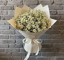 Букет цветов из:  Ромашки в Волченки