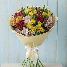 Букет цветов из:  Альстромерии #REPLACE_PRED# Волченки