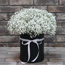 Цветочная композиция из Гипсофила в шляпной коробке в Волченки
