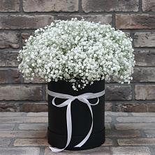 Цветочная композиция из Гипсофила в шляпной коробке в Волченки