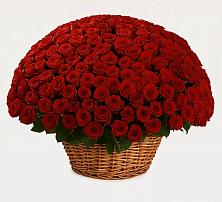 Премиум букет из: Розы в Волченки