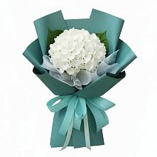 Букет цветов из:  Гортензия #REPLACE_PRED# Волченки